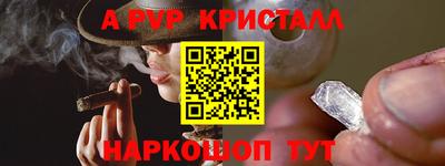 молекула духа Пугачёв