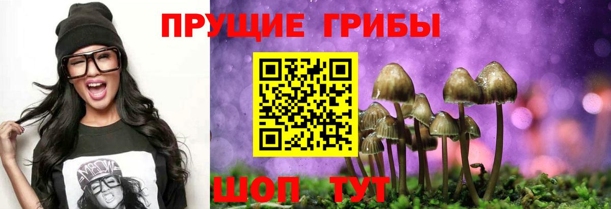 Галлюциногенные грибы GOLDEN TEACHER  Вход с VPN  Рыбинск  Псилоцибиновые грибы Cubensis 